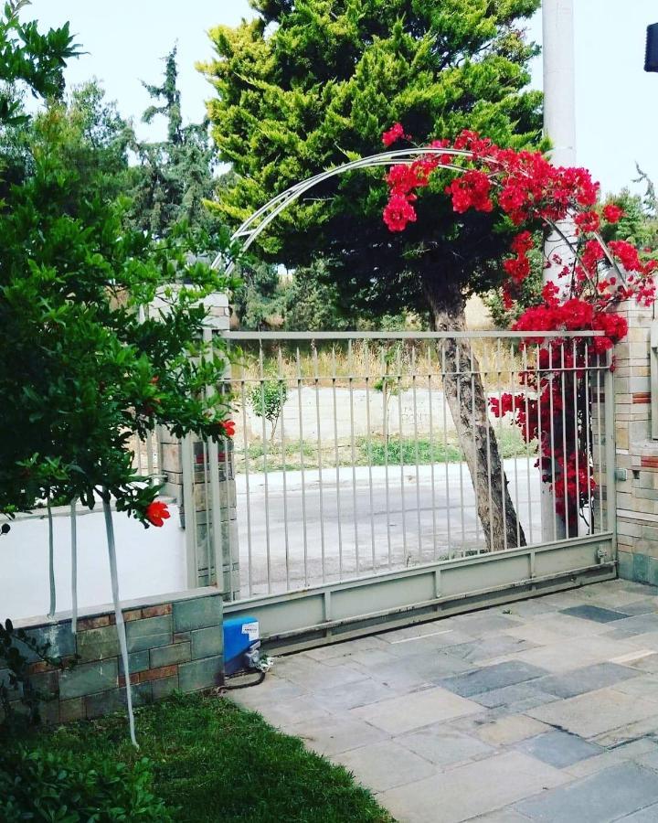 Fantastic Villa, A 5 Minute Drive From The Beach! Atenas Exterior foto