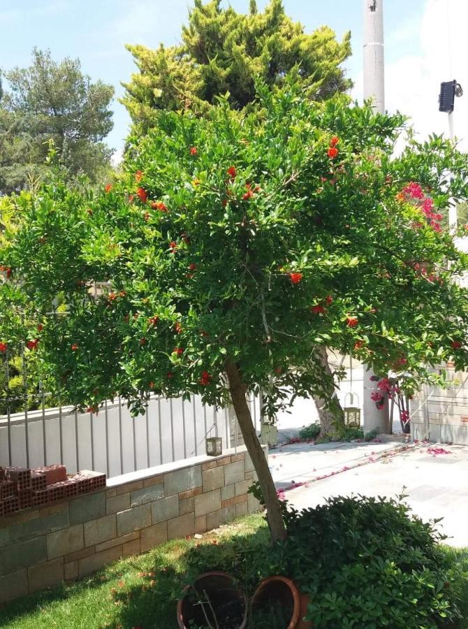 Fantastic Villa, A 5 Minute Drive From The Beach! Atenas Exterior foto